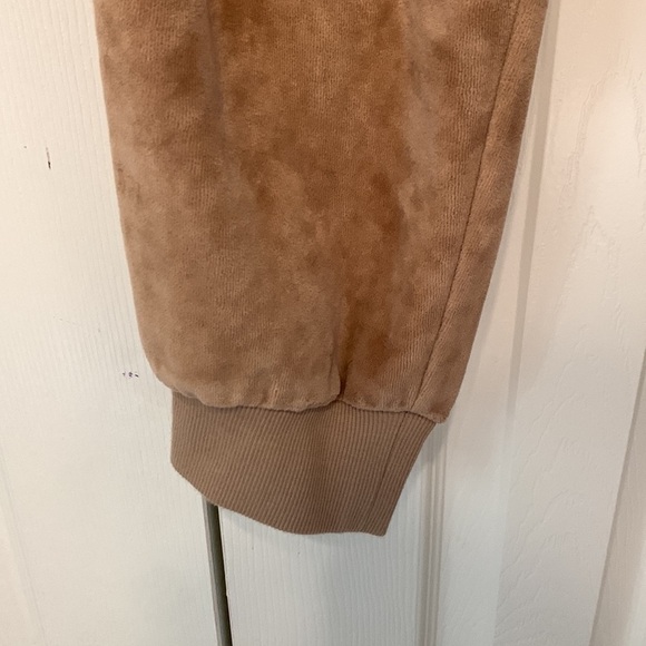 Abound Velour Joggers - Picture 3 of 6